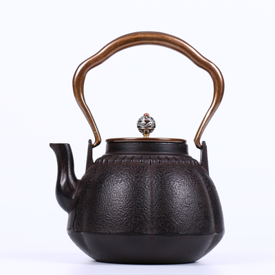 A thriving business iron pot Cast iron pot Southern copper to copper oxide film bladder teapot tea set Japan pot